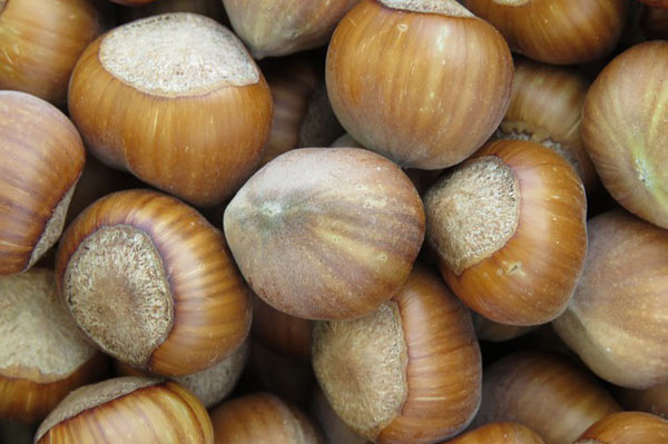 noisettes